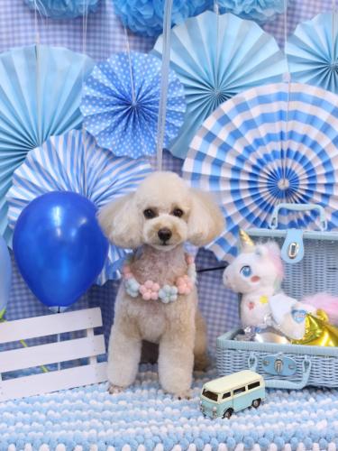 20231121ランチちゃん 